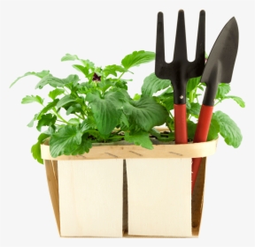 Gardening Tool Box Png, Transparent Png, Transparent PNG