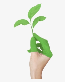 Hand With Leaf Growing From Clean Air Due To Green - Politica Ambiental, HD Png Download, Transparent PNG