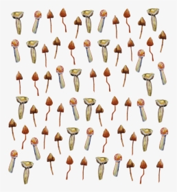 Collection, HD Png Download, Transparent PNG