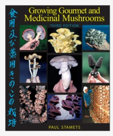 Growing Gourmet And Medicinal Mushrooms      Data Rimg - Growing Gourmet And Medicinal Mushrooms, HD Png Download, Transparent PNG