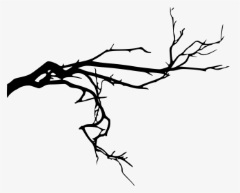 Spooky Tree Branch, HD Png Download, Transparent PNG