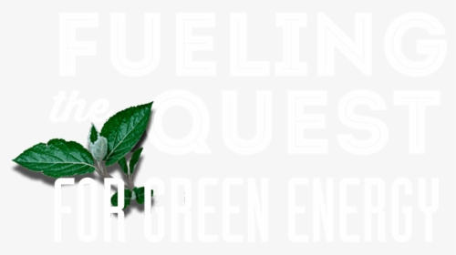 Fueling The Quest For Green Energy - Montgomery Inn, HD Png Download, Transparent PNG