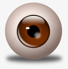 Drawing Eyeballs Ball - Olho Castanho Png, Transparent Png, Transparent PNG