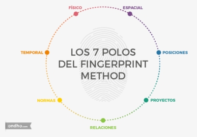 Los Siete Polos Del Fingerprint Method - Cox Enterprises, HD Png Download, Transparent PNG