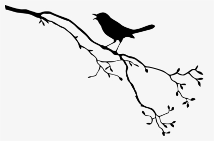 Bird Royalty-free Drawing - Bird Branch Silhouette Png, Transparent Png, Transparent PNG