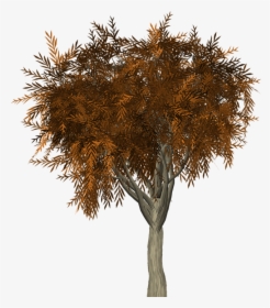 Tree Leaves Autumn Fall Branches Isolated Nature - Autumn, HD Png Download, Transparent PNG