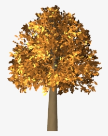 7 Png, Branches Of Trees, Forest - Arboles En Otoño En Png, Transparent Png, Transparent PNG