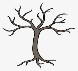 Tree With Branches Drawing - Easy Dead Tree Drawing, HD Png Download, Transparent PNG