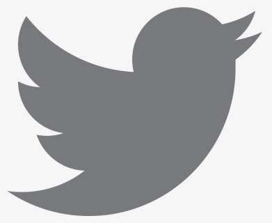 Twitter Logo Grey Png, Transparent Png, Transparent PNG