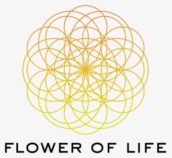 Flower Of Life Png, Transparent Png, Transparent PNG