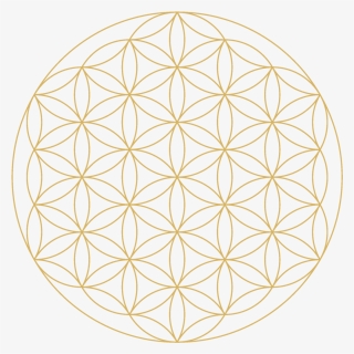 Flower Of Life Png, Transparent Png, Transparent PNG