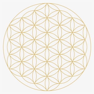 Flower Of Life Png, Transparent Png, Transparent PNG