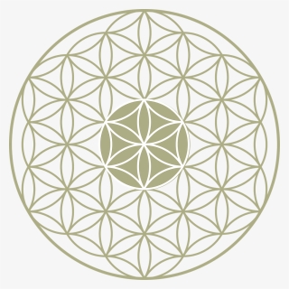 Flower Of Life Png, Transparent Png, Transparent PNG