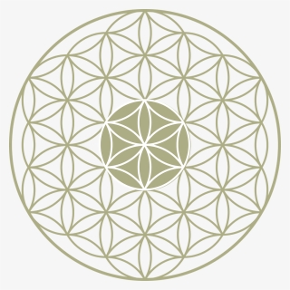 Flower Of Life Png, Transparent Png, Transparent PNG