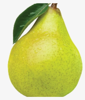 Pear Png, Transparent Png, Transparent PNG
