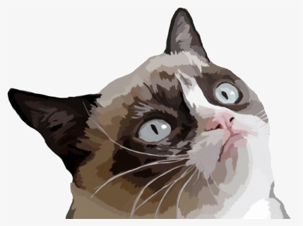 Grumpy Cat Face Transparent Png, Png Download, Transparent PNG