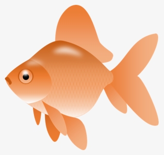 Gold Fish Clipart Picture Royalty Free Library Small, HD Png Download, Transparent PNG