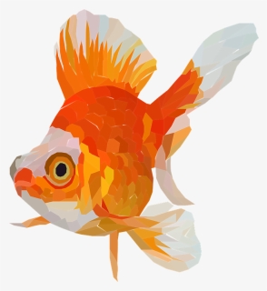Goldfish Png, Transparent Png, Transparent PNG