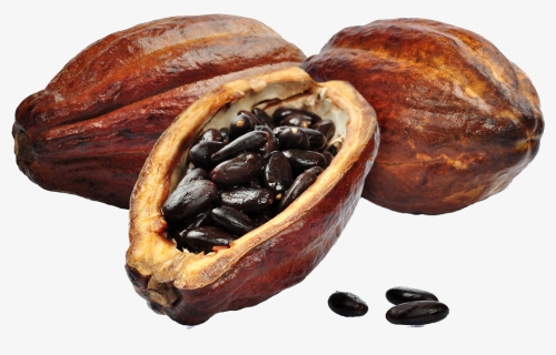 Cacao Free Download Png, Transparent Png, Transparent PNG