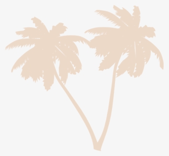 Palms Png, Transparent Png, Transparent PNG