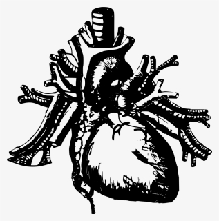 Black And White Human Heart Png , Png Download, Transparent Png, Transparent PNG