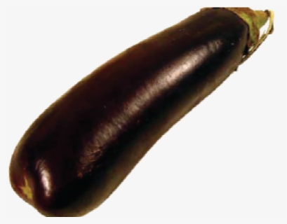 Eggplant Png, Transparent Png, Transparent PNG
