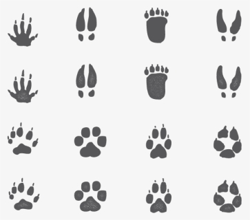Animal Footprints Png, Transparent Png, Transparent PNG