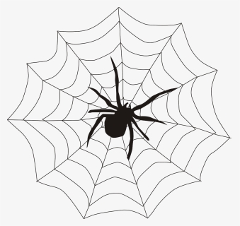 Spiderweb Png, Transparent Png, Transparent PNG