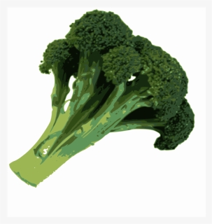 Broccoli Svg Clip Arts, HD Png Download, Transparent PNG