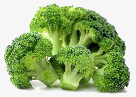 Broccoli Png Transparent Images, Png Download, Transparent PNG