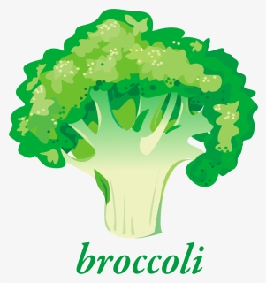 Broccoli Png, Transparent Png, Transparent PNG