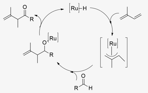 Ryu Mechanism Of Ru Catalyzed Hydroacylation Of A Diene, HD Png Download, Transparent PNG