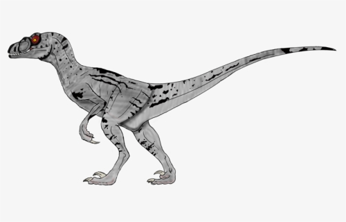Velociraptor, HD Png Download, Transparent PNG