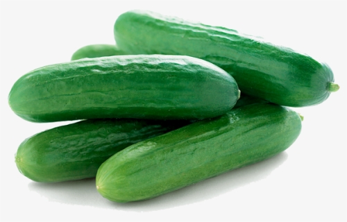 Cucumbers Png Picture, Transparent Png, Transparent PNG
