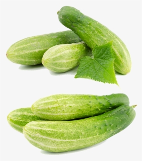 Cucumber Png, Transparent Png, Transparent PNG