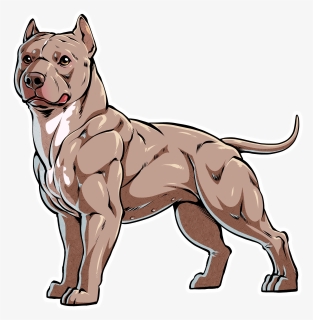 Its That Most Breeders Do Not Explain To New Owners, HD Png Download, Transparent PNG