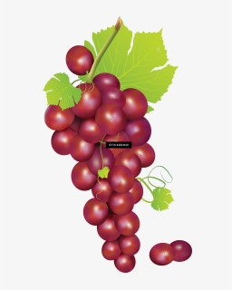 Red Grape With Leaves, HD Png Download, Transparent PNG