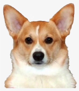 Final Pt App Lab, HD Png Download, Transparent PNG