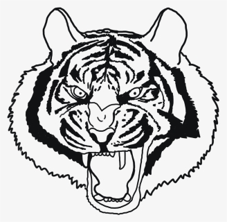 Tiger Face Drawing Angry Tiger, HD Png Download, Transparent PNG