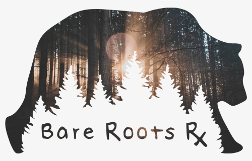 Tree Roots Png, Transparent Png, Transparent PNG