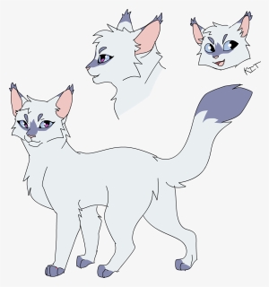 My Snowfur Design Warrior Cat Drawings, Warrior Cats, HD Png Download, Transparent PNG