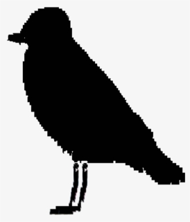 Ireland Bird Silhouette Clip Arts, HD Png Download, Transparent PNG