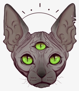 Whiskers Korat Sphynx Cat Kitten Domestic Short-haired, HD Png Download, Transparent PNG