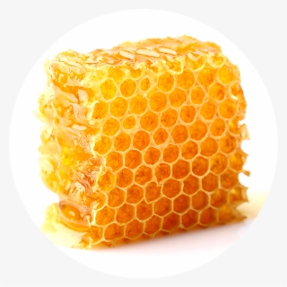 Honeycomb, HD Png Download, Transparent PNG