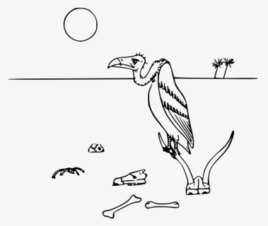 Vulture In Desert Vector Illustration, HD Png Download, Transparent PNG