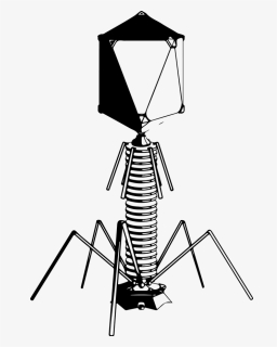 Shit Png, Transparent Png, Transparent PNG