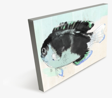 School Of Fish, HD Png Download, Transparent PNG