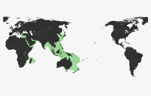 Sepioteuthis Lessoniana Distribution Range, HD Png Download, Transparent PNG