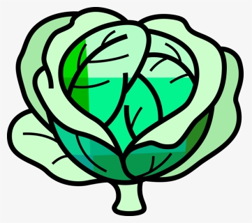 Vector Illustration Of Leafy Green Cabbage Edible Vegetable, HD Png Download, Transparent PNG