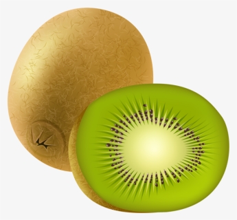 Kiwi Clipart Fruites, HD Png Download, Transparent PNG